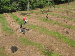Tree Planting on the Pacuare River