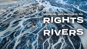 A wave of new support for the Rights of Rivers