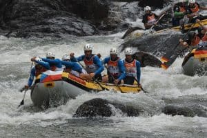 Get to know your IRF BOD – Aleš Danek